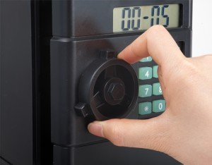 Parollu Elektron Təhlükəsizlik Sikkə Bankı, Ağıllı Elektron Piggy Bank