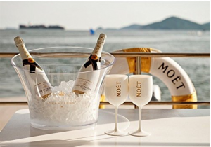 Karahi Waina Charmlite Kore e taea te wawahi 100% Tritan Shatterproof Ka taea te whakamahi ano me te mohiti Kaata Kaata Haumaru - 14oz